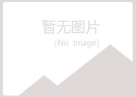 黄山黄山南蕾金属有限公司